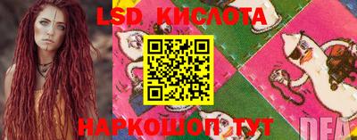 крисы Кимры