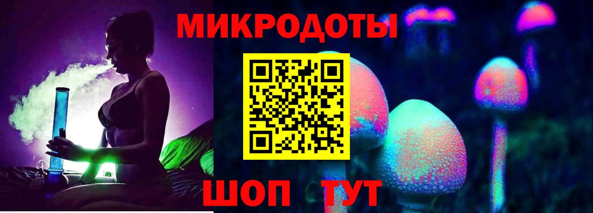 Галлюциногенные грибы мухоморы Чернушка